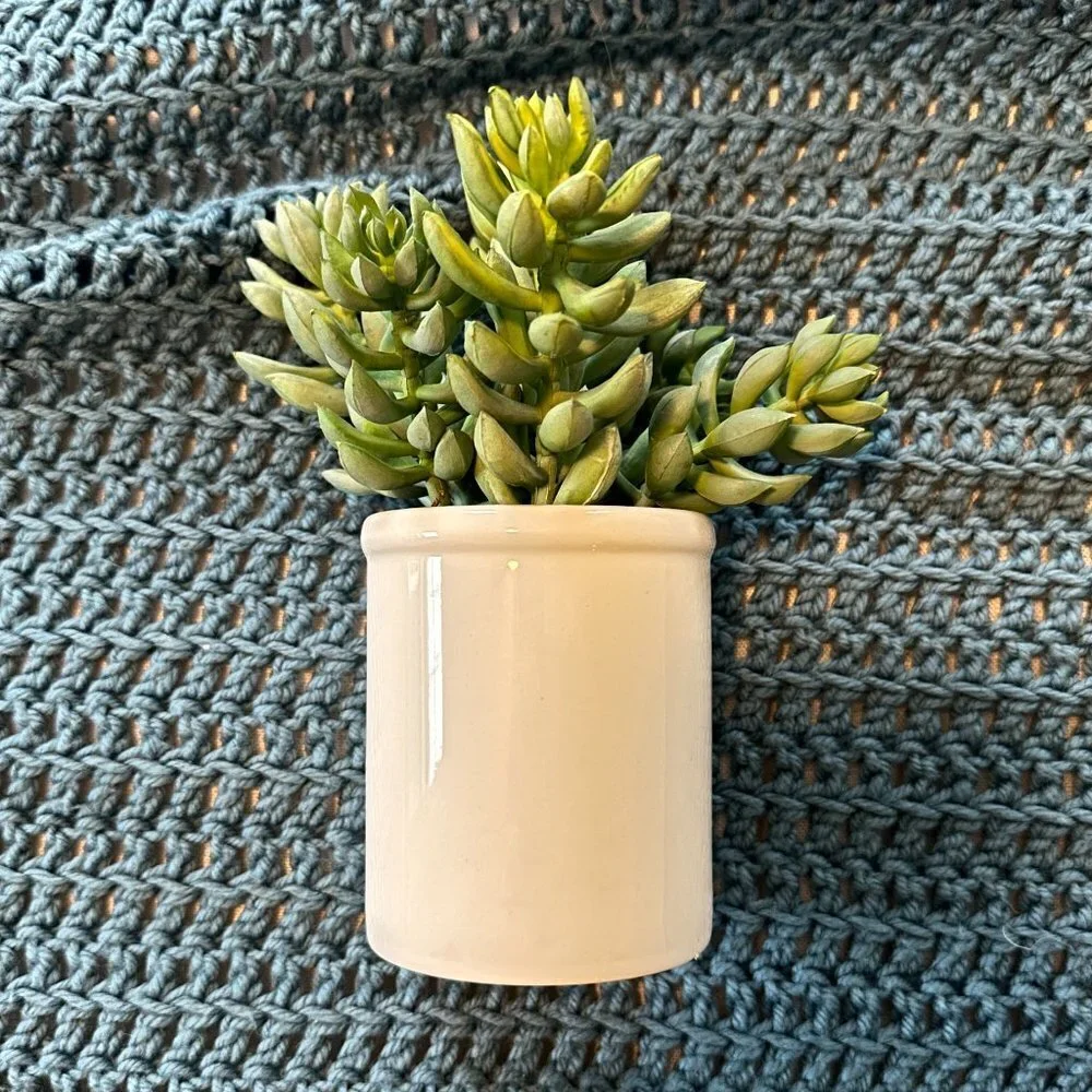 Threshold Artificial Greenery Tabletop Arrangement
